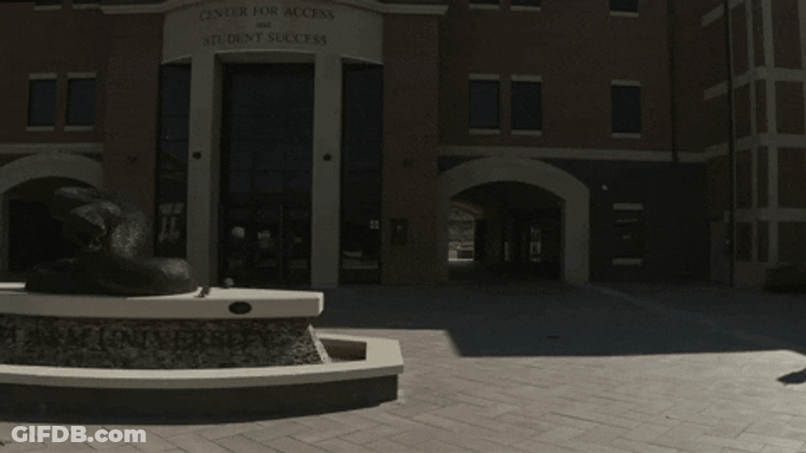 Snake Statue In Front Of Famu Building GIF