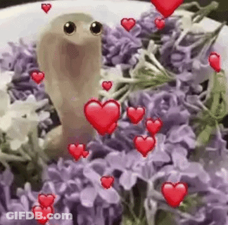 Snake Surrounded By Purple Flowers And Hearts GIF