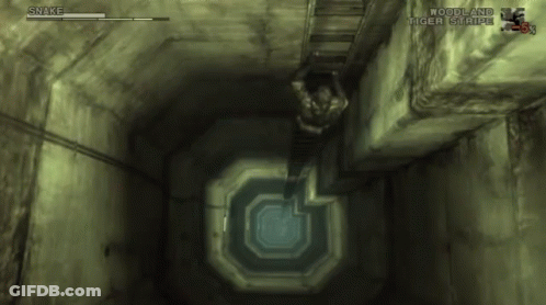 Snake Video Game In Woodland Tiger Stripe Area GIF