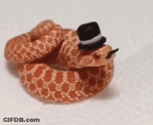Snake Wearing Top Hat With Tongue GIF