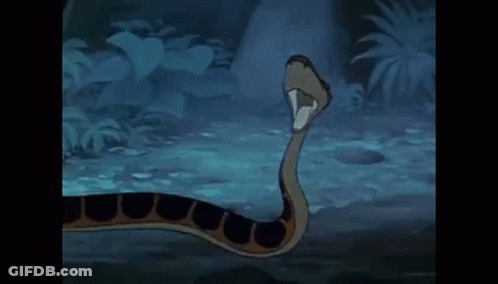 Snake With Open Mouth In Jungle GIF