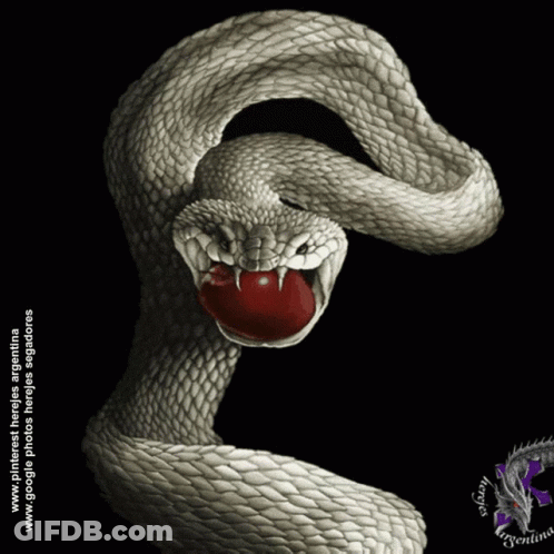 Snake With Red Apple In Mouth GIF