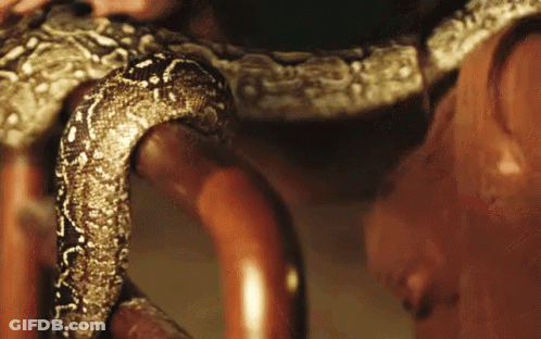 Snake Wrapped Around Woman's Arm GIF