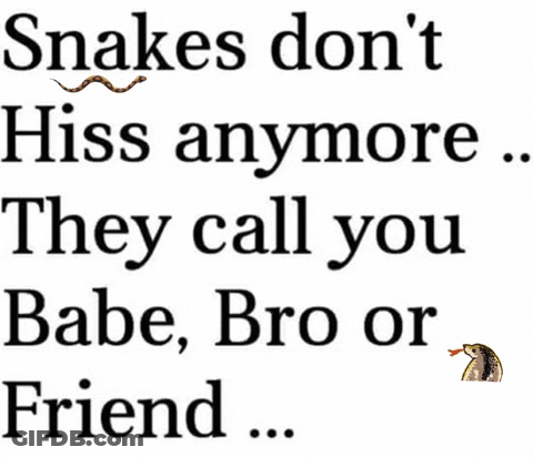 Snakes Don't Hiss Anymore Poster GIF