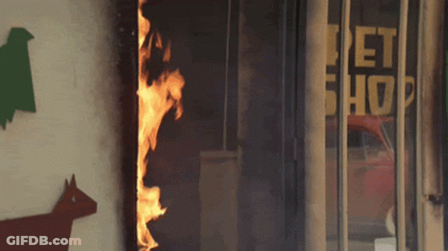 Snakes On A Plane Holding Snakes Passed Out GIF
