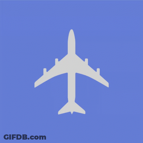 Snakes On A Plane On Flight GIF