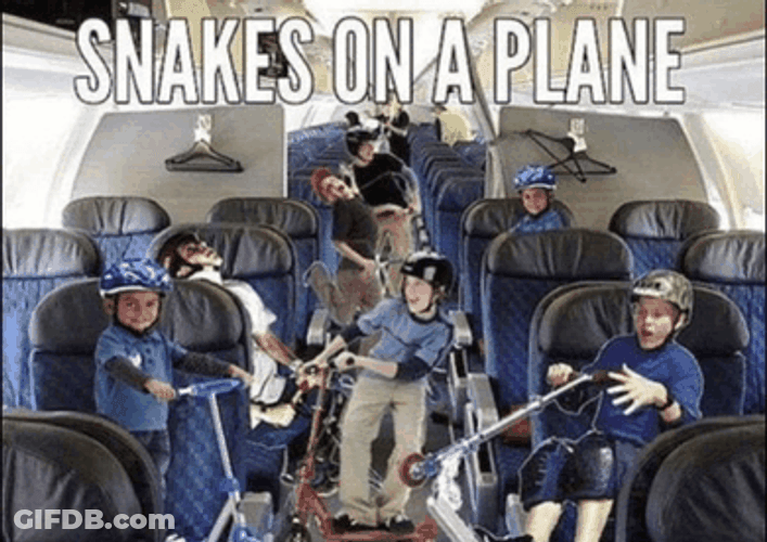 Snakes On A Plane Seat GIF