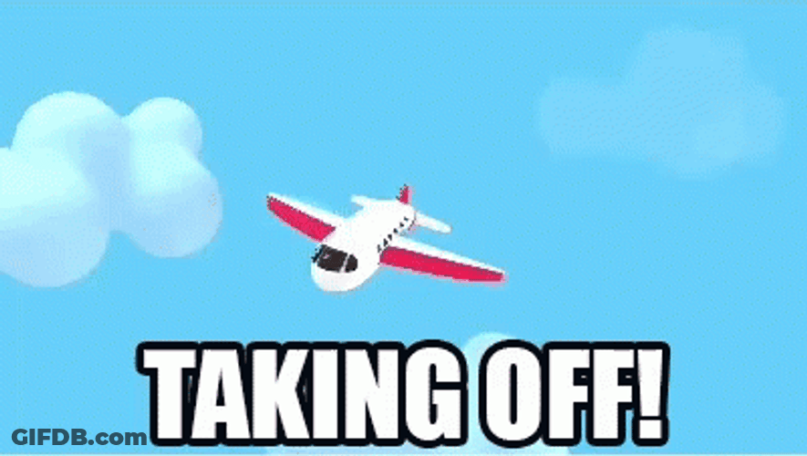 Snakes On A Plane Taking Off GIF