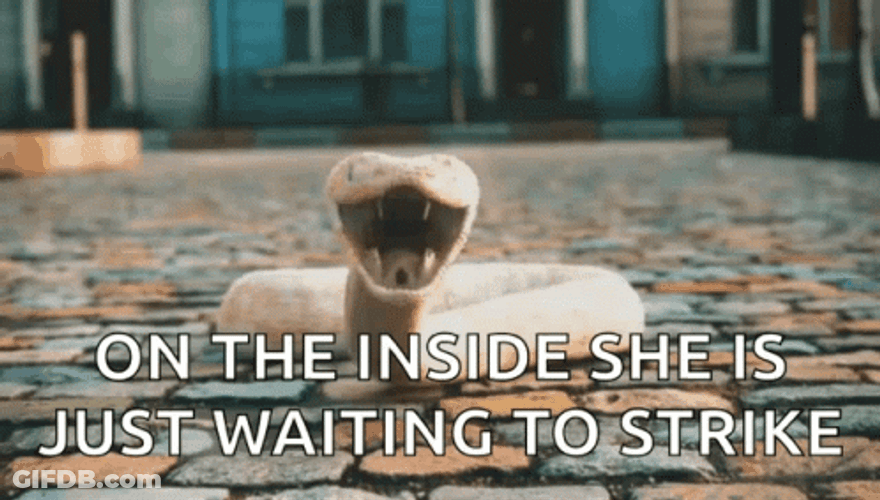 Snakes On A Plane Waiting To Strikes GIF