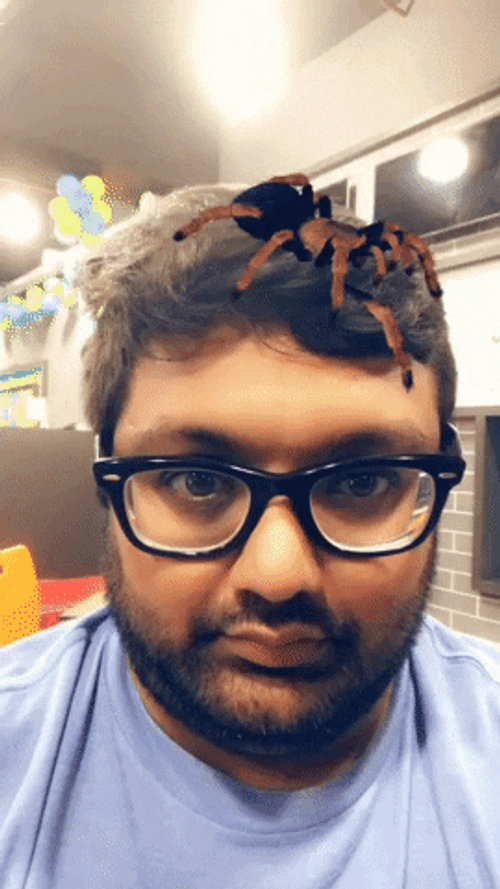 Snapchat Spider Filter GIF