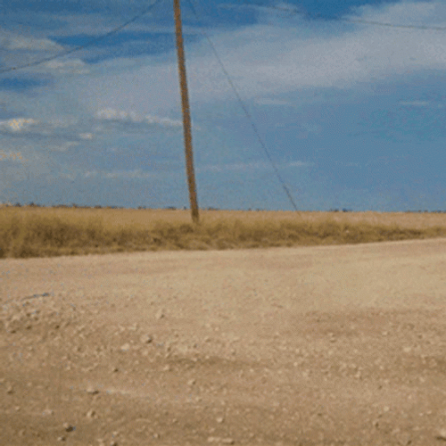 Sneaker Car GIF