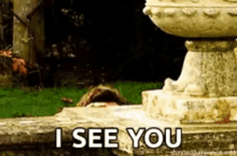 Sneaking Guy I See You GIF