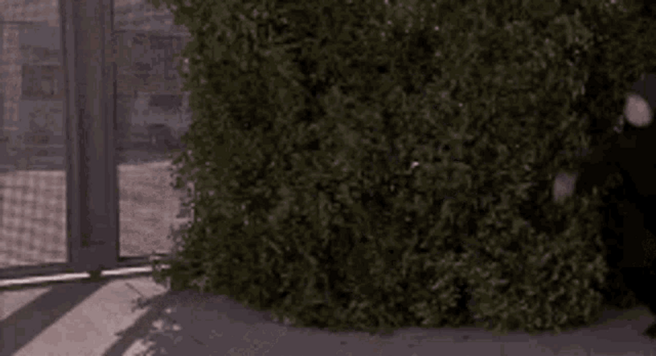 Sneaky Ninja Moves GIF