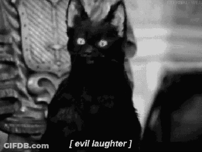 Sneakyvi Salem GIF