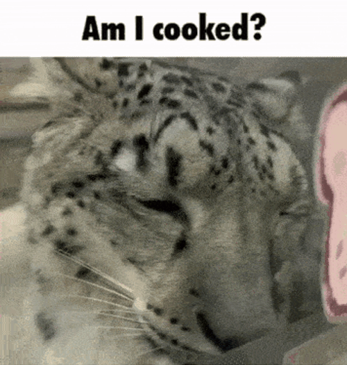 Snep Am I Cooked GIF
