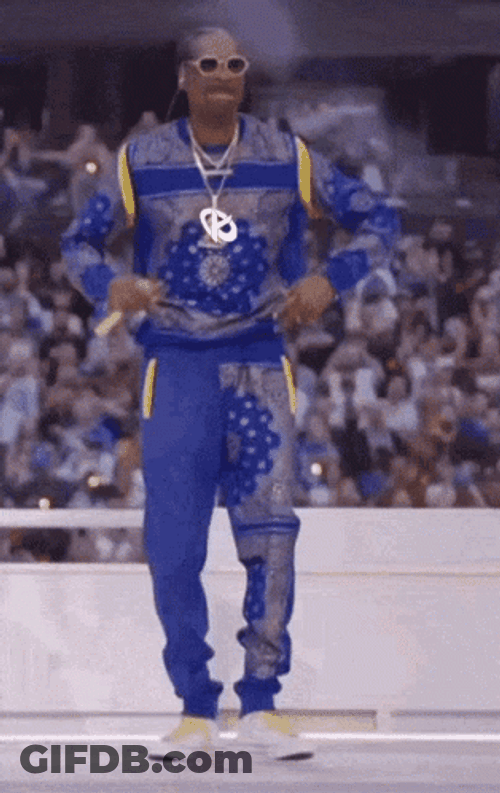 Snoop Dogg Dance Performance At The Arena GIF