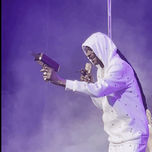 Snoop Dogg High Roller Money Meme GIF
