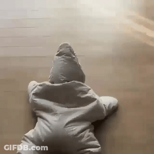 Snoop Dogg It Be Like That Sometimes Blue Shirt GIF