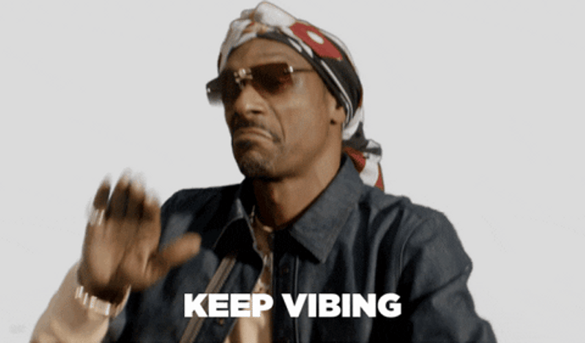 Snoop Dogg Keep Vibing GIF