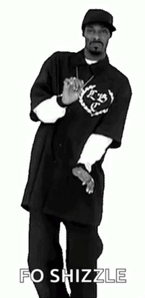 Snoop Dogg Moves For Shizzle Sure GIF