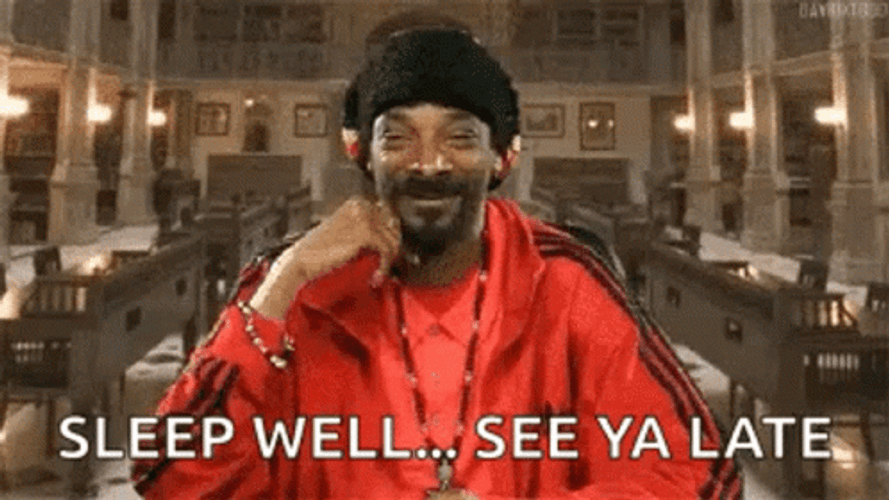 Snoop Dogg Sleep Well See Ya Late GIF