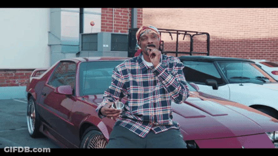 Snoop Dogg Smoking In Car Shop GIF