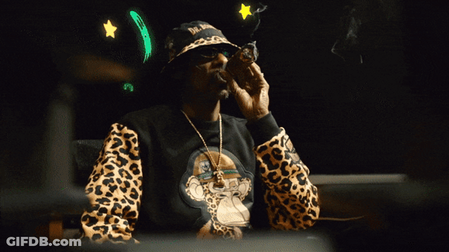 Snoop Dogg Smoking Monkey Meme GIF