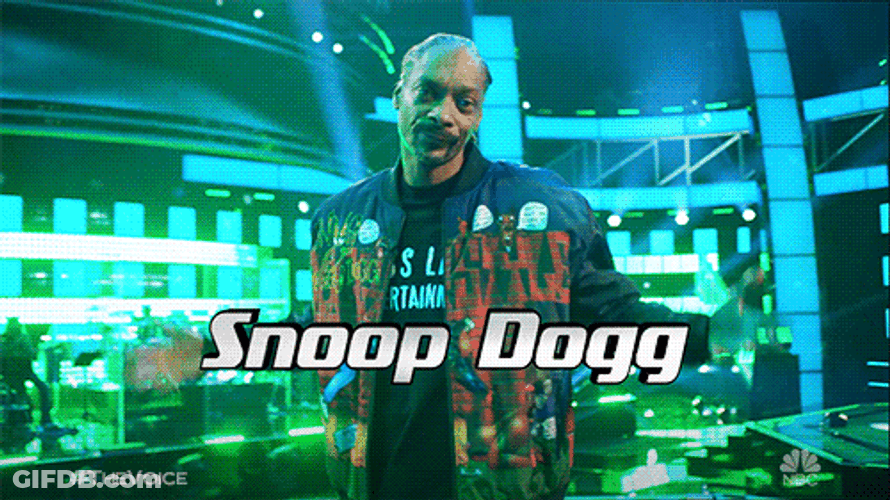 Snoop Dogg Who GIF