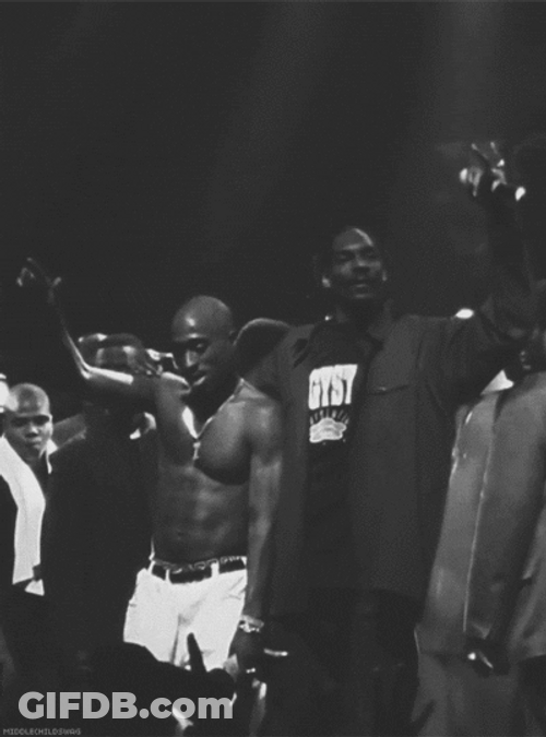 Snoop Dogg Who Is In The Crowd GIF