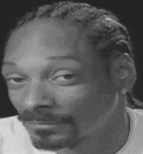 Snoop Snoop Dogg GIF
