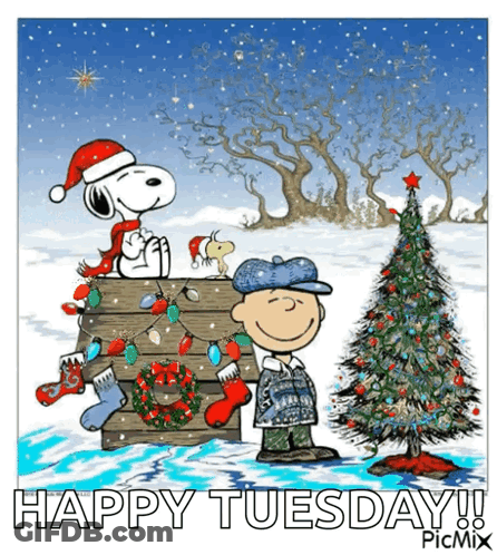 Snoopy And Charlie Brown Are Decorating A Christmas Tree GIF