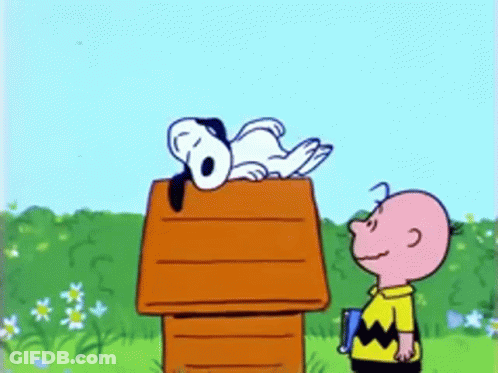 Snoopy And Charlie Brown Are Standing Next To A Doghouse GIF