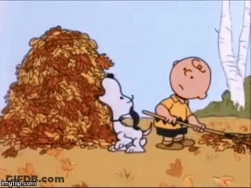 Snoopy And Charlie Brown Are Standing Next To A Pile Of Leaves And A Rake . GIF