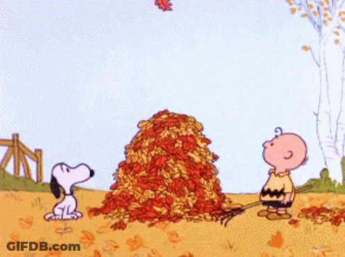 Snoopy And Charlie Brown Raking Leaves GIF