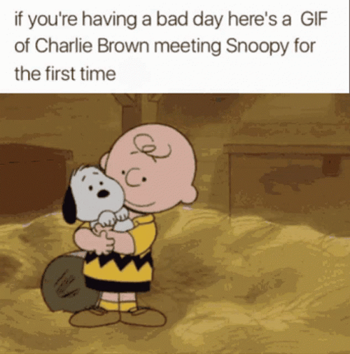 Snoopy And Charlie Brown Sunday GIF