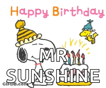 Snoopy And Woodstock Are Celebrating A Birthday With A Cake And Candles GIF
