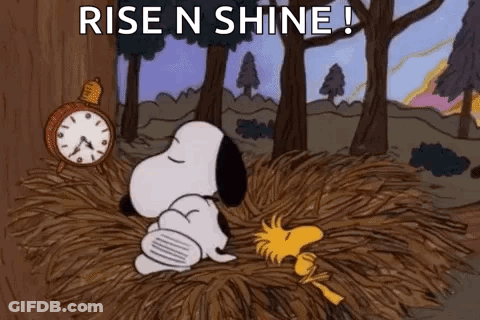 Snoopy And Woodstock Are Laying In A Pile Of Hay In The Woods . GIF