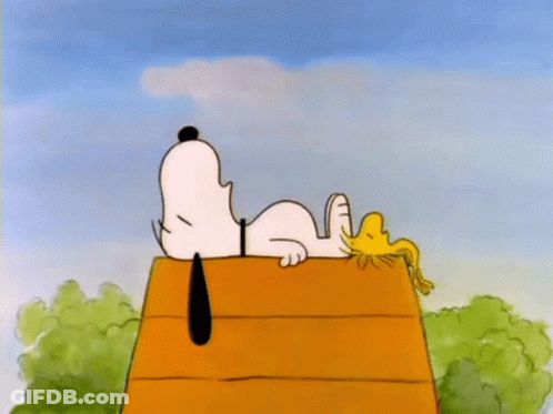 Snoopy And Woodstock Are Laying On The Roof Of Their Doghouse . GIF