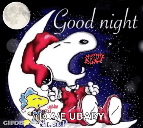 Snoopy And Woodstock Are Sitting On A Crescent Moon And Saying `` Good Night '' . GIF