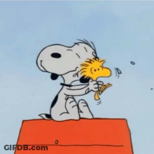 Snoopy And Woodstock Are Sitting On A Red Box GIF