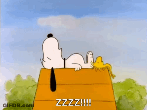 Snoopy And Woodstock Are Sleeping On The Roof Of Their Doghouse . GIF