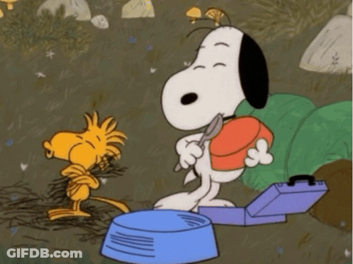 Snoopy And Woodstock Are Standing Next To Each Other In A Cartoon GIF