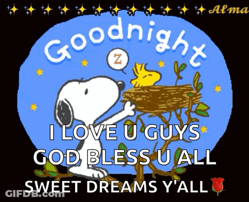 Snoopy And Woodstock Goodnight I Love You GIF