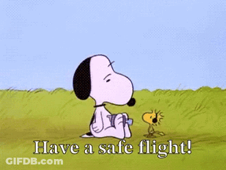Snoopy And Woodstock Have A Safe Flight GIF