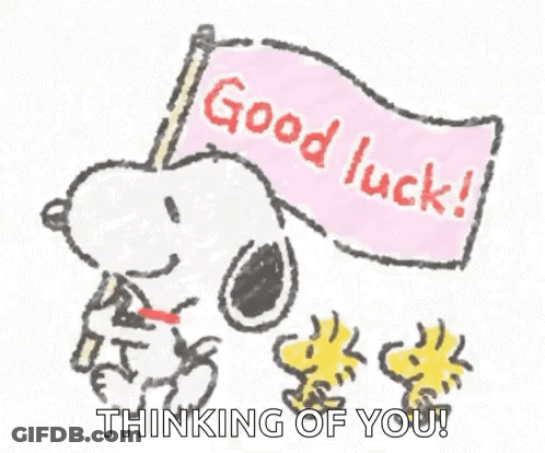 Snoopy And Woodstock Holding Good Luck Flag GIF
