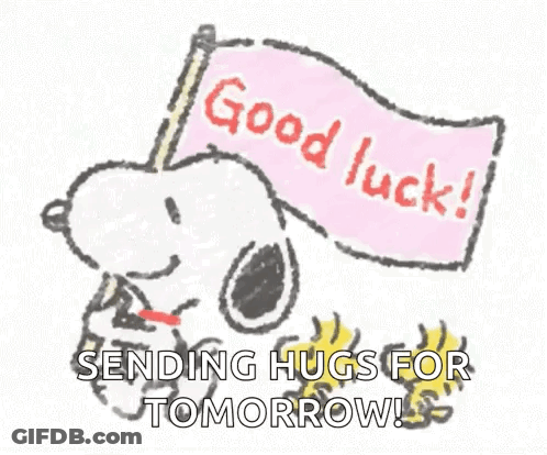 Snoopy And Woodstock Holding Good Luck Sending Hugs Flag GIF