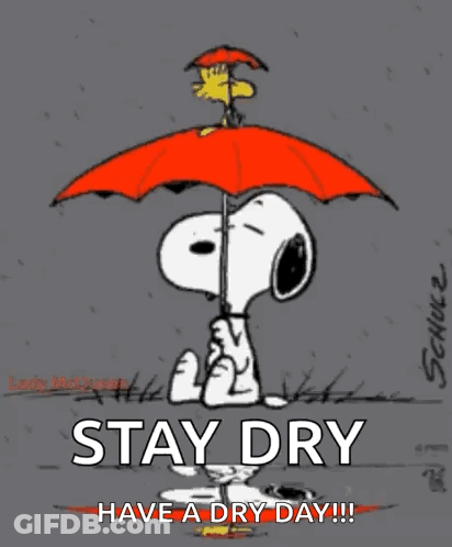 Snoopy And Woodstock Holding Orange Umbrella GIF