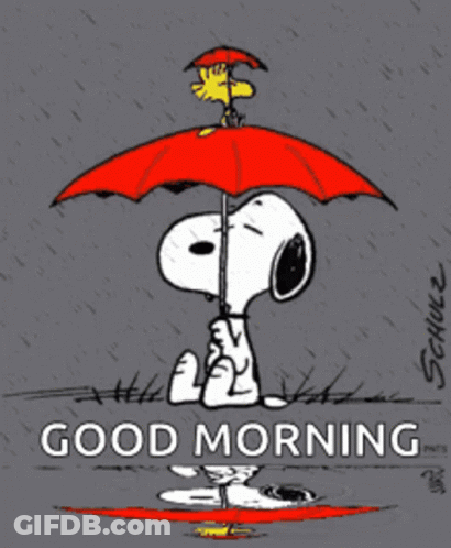Snoopy And Woodstock Holding Umbrella GIF