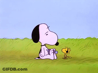 Snoopy And Woodstock In Field With Helicopter GIF