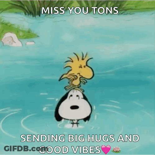 Snoopy And Woodstock In Water Miss You Tons GIF